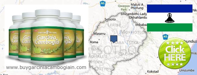 Dónde comprar Garcinia Cambogia Extract en linea Lesotho